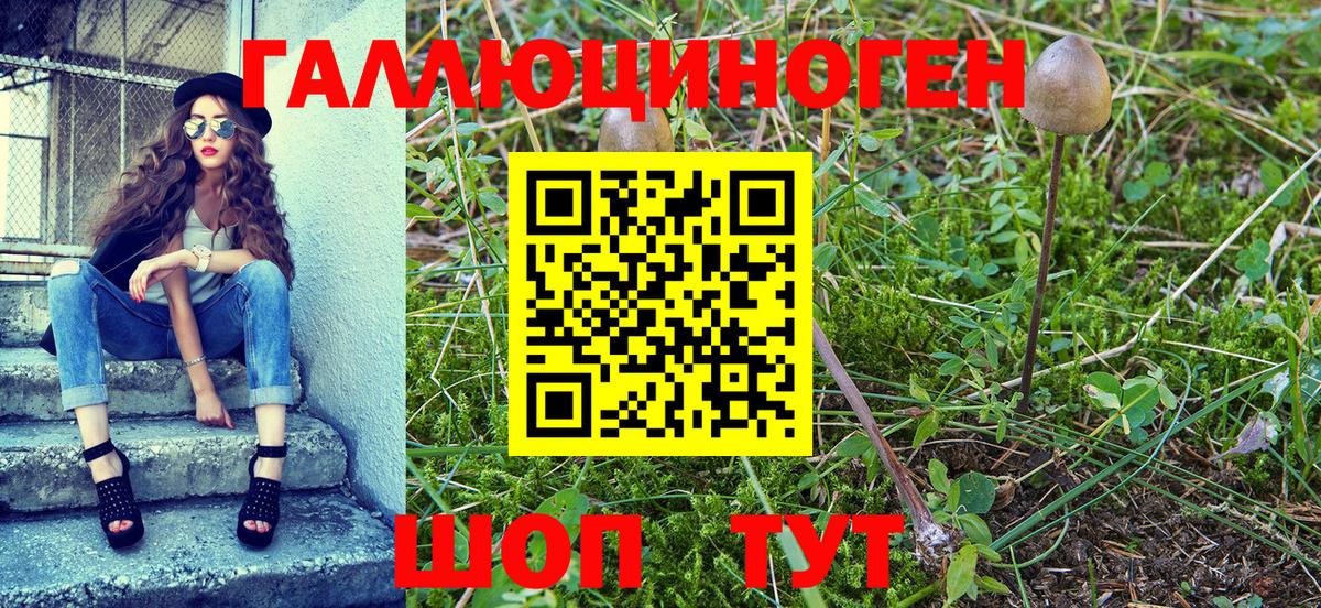 Галлюциногенные грибы Cubensis Грязи